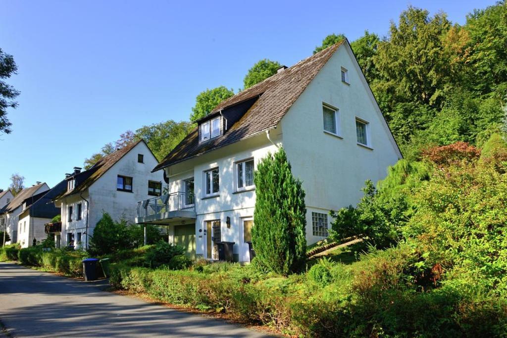 Die Hammerhuette Willingen  Exteriér fotografie