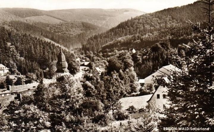 Die Hammerhuette Willingen  Exteriér fotografie