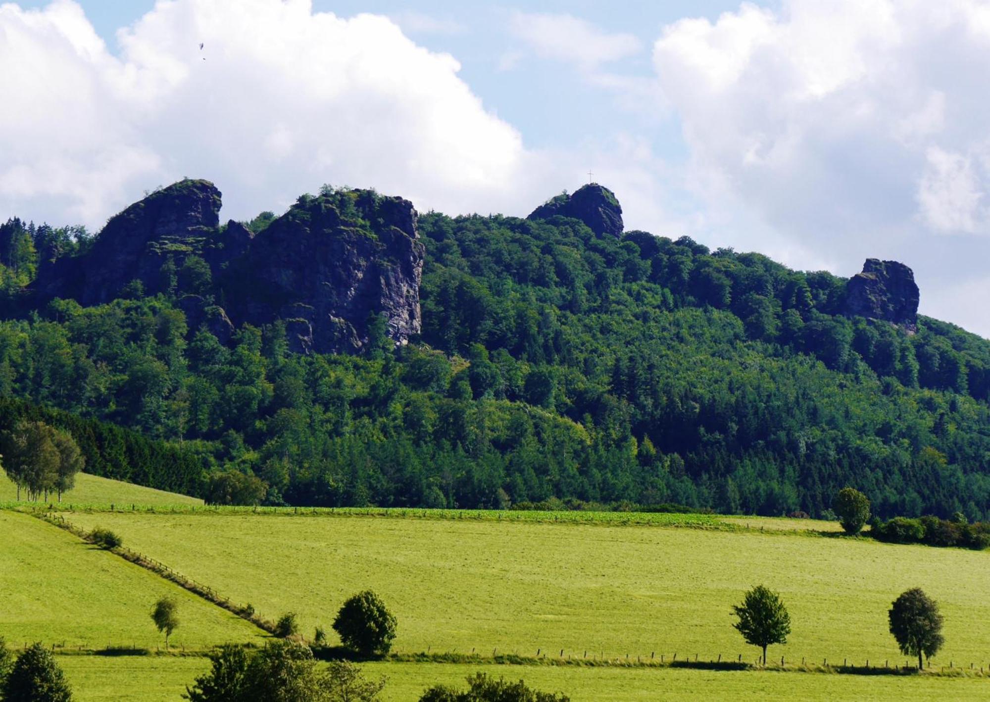Die Hammerhuette Willingen  Exteriér fotografie