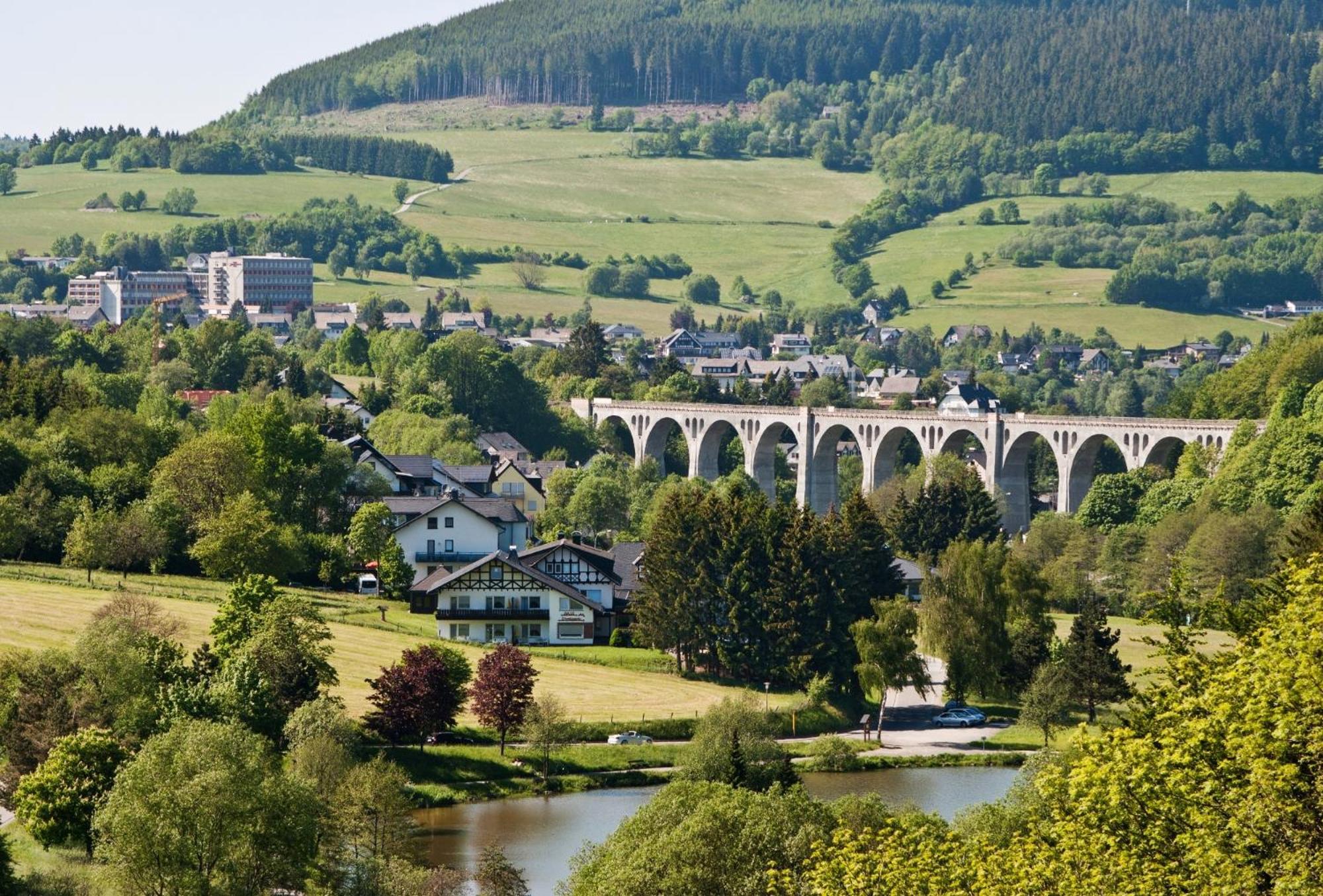 Die Hammerhuette Willingen  Exteriér fotografie